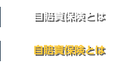 自賠責保険とは