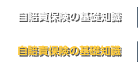 自賠責保険の基礎知識